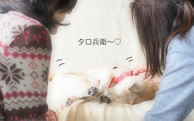 23日ブログ5