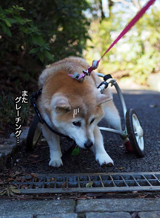 15日ブログ４