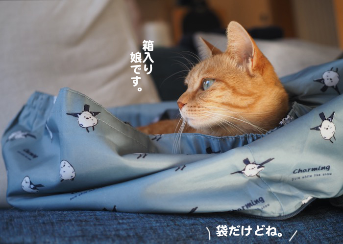 6日夕ブログ３