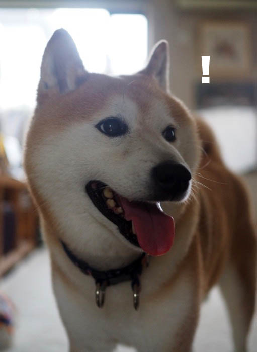 3日夕ブログ２