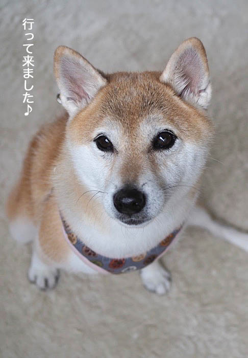 17日ブログ8