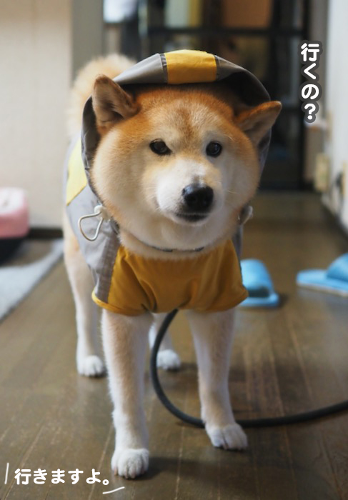 2日夕ブログ３