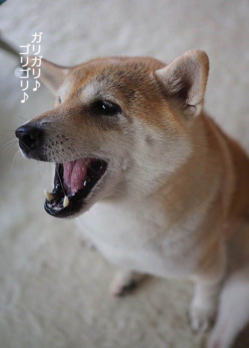 8日午後ブログ８