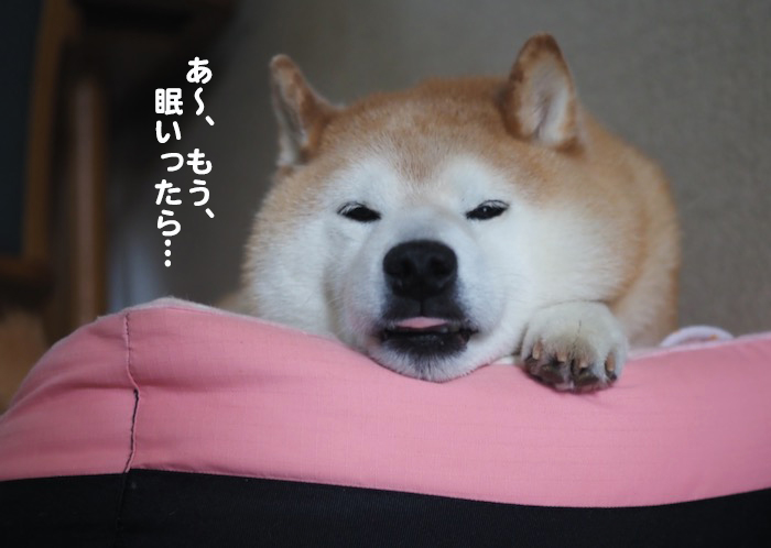 1日夕ブログ２