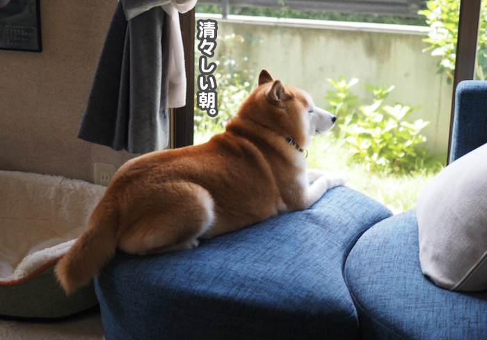 22日ブログ２