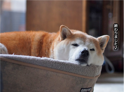5日ブログ3.jpg