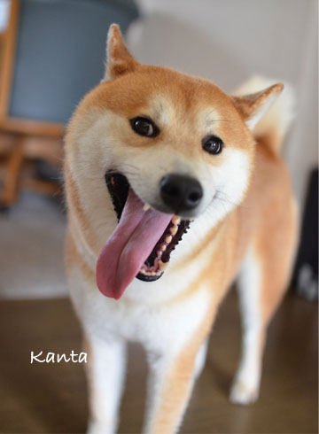 22日ブログ5.jpg