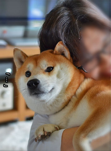 26日ブログ8.jpg