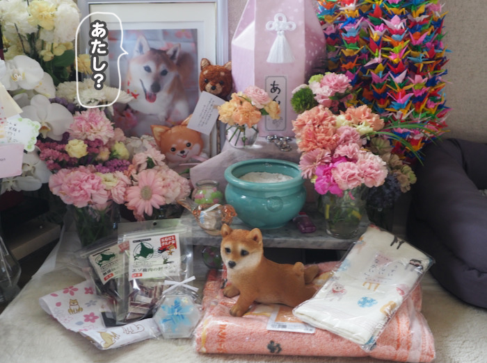 3日ブログ７