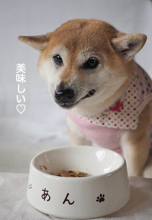 3日午後ブログ10