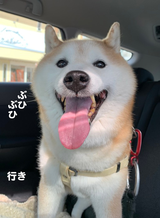 12日夕ブログ２