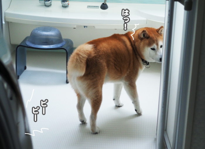 9日夕ブログ６