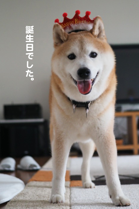 25日夕ブログ２