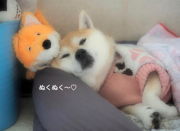 19日ブログ７