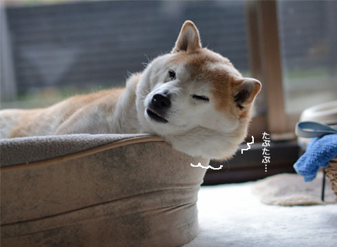 9日ブログ6.jpg
