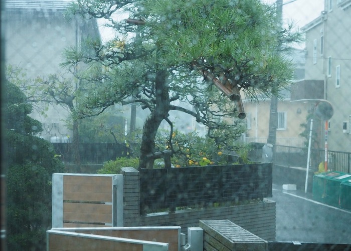 9日夕用２ (1)