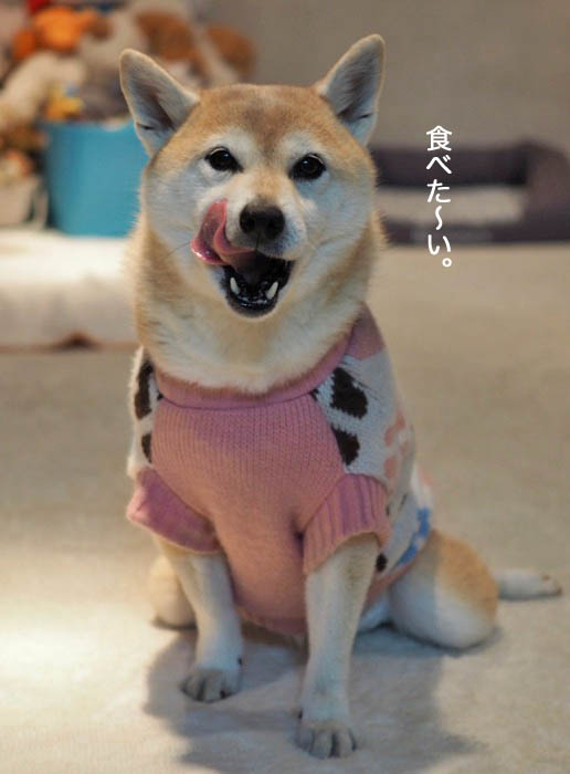 28日夜ブログ４