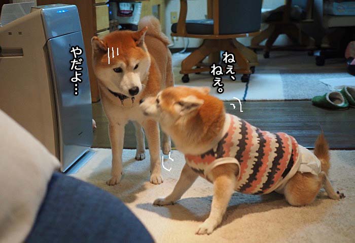6日夜ブログ６