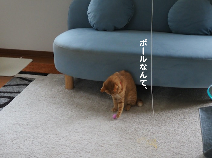 9日夕ブログ１０
