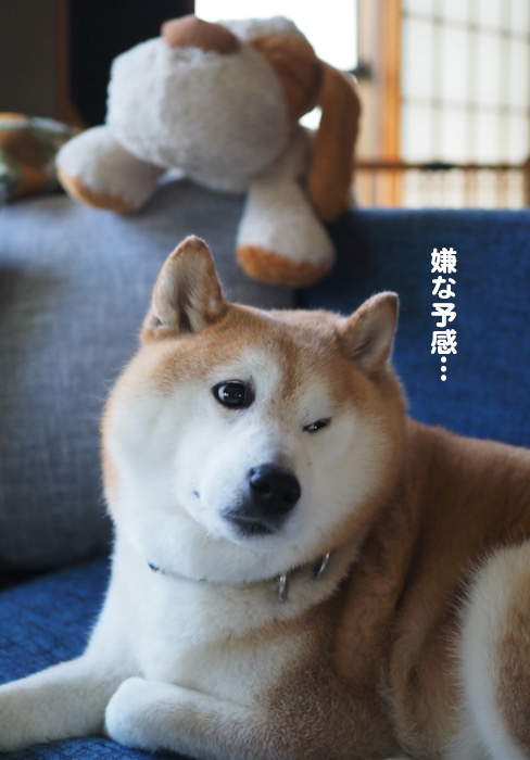 18日夕ブログ４