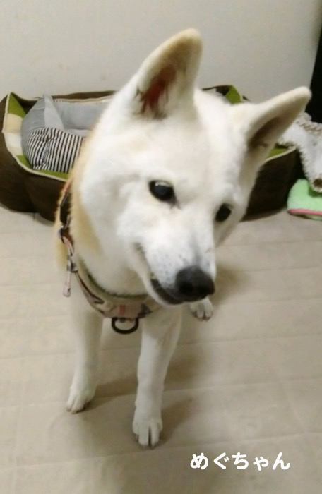 22日のブログ2