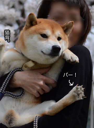23日ブログ9.jpg