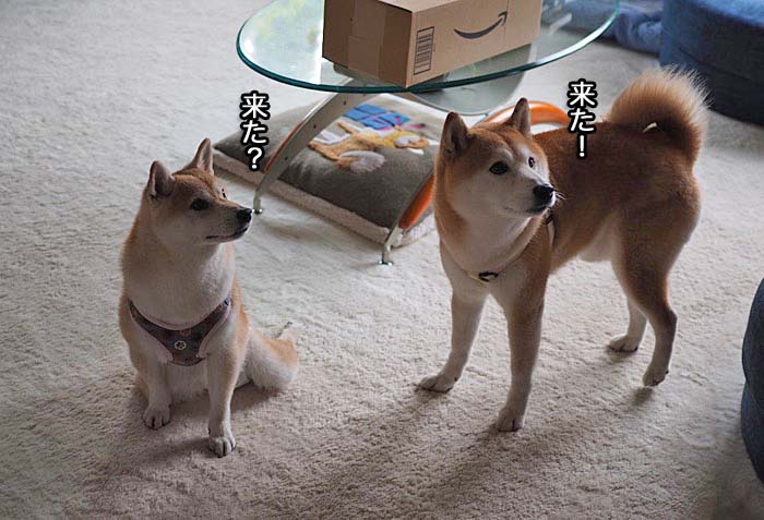 5日ブログ２