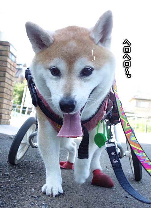 3日夜ブログ５