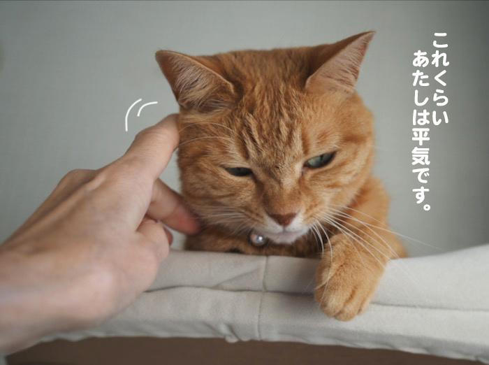 22日ブログ４