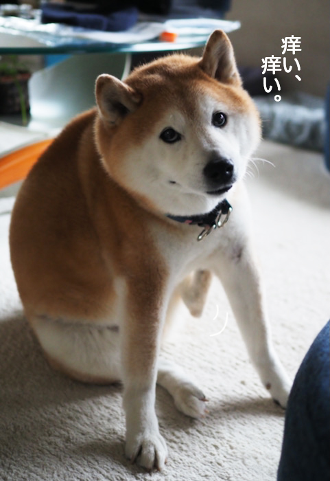 9日夜ブログ７