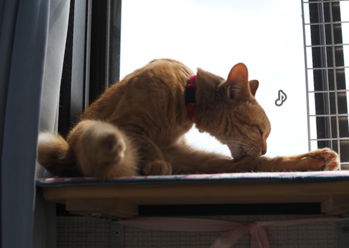 26日夕ブログ3