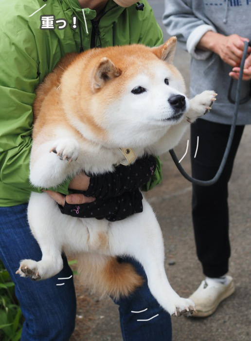 20日夕ブログ９