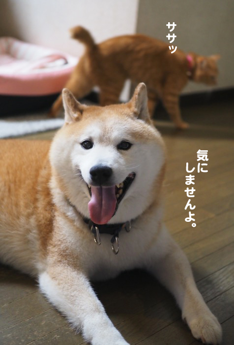 19日ブログ６