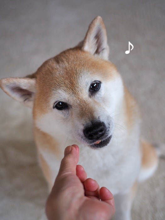 10日ブログ５