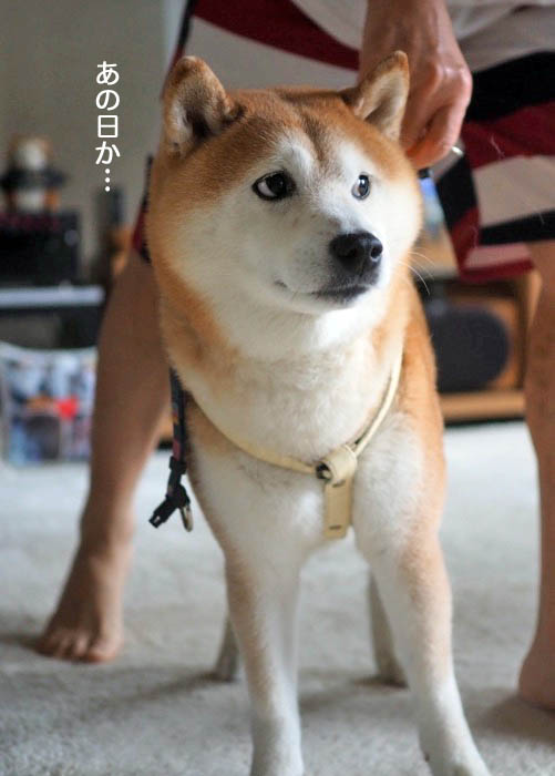 4日夕ブログ５