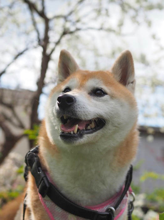 6日ブログ２