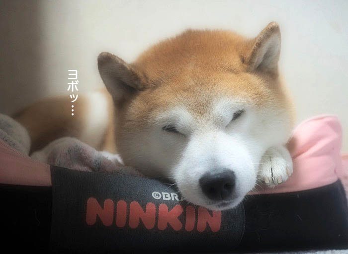 10日ブログ１