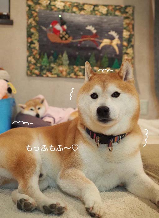 17日夜ブログ５