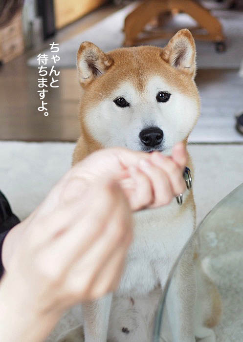 4日ブログ5