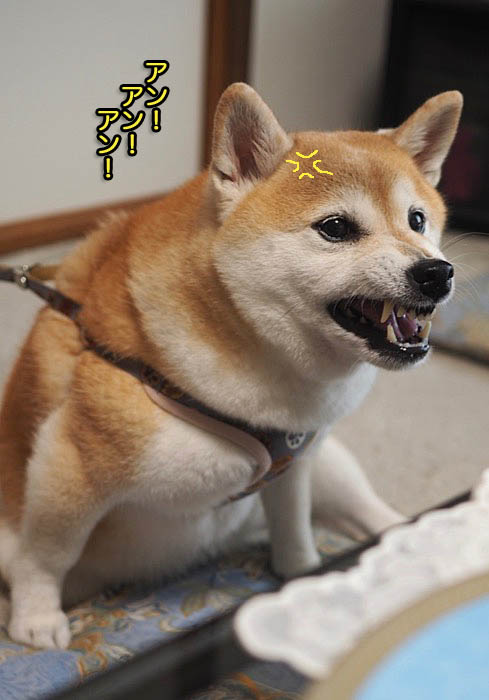 28日夜ブログ５