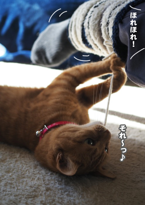 9日夜ブログ９