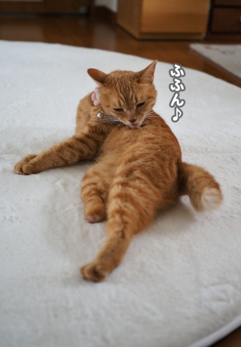 25日夕ブログ１２