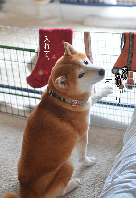 5日ブログ2