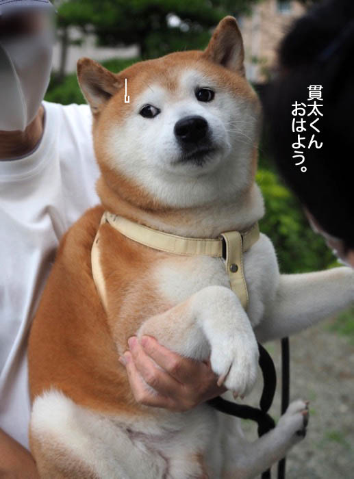 23日ブログ４
