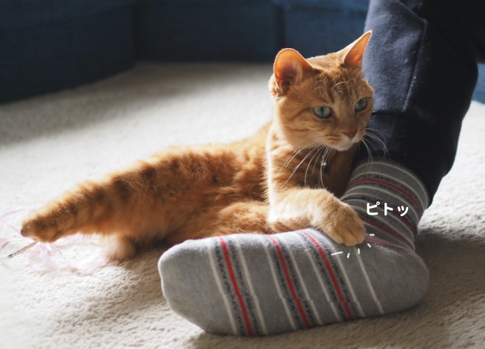 1日夕ブログ２