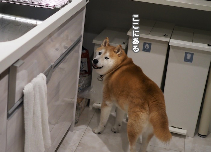 10日夕ブログ３