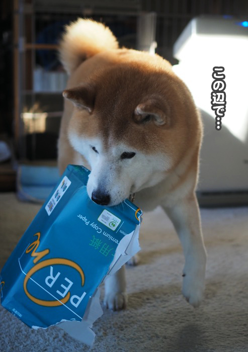 28日夕ブログ５