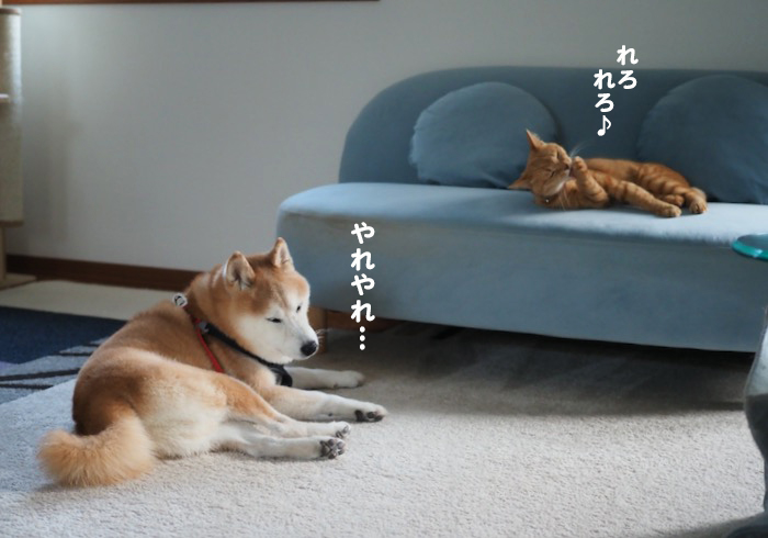 5日夕ブログ３