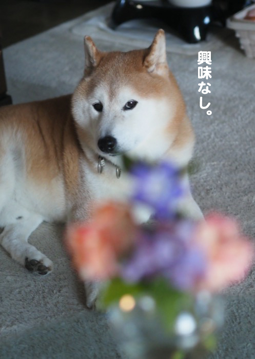 17日ブログ３