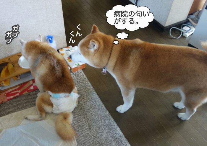 23日夜ブログ８